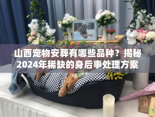 山西宠物安葬有哪些品种？揭秘2024年稀缺的身后事处理方案