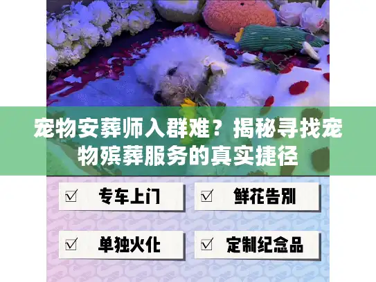宠物安葬师入群难?揭秘寻找宠物殡葬服务的真实捷径 宠物安葬师入群难?揭秘寻找宠物殡葬服务的真实捷径
