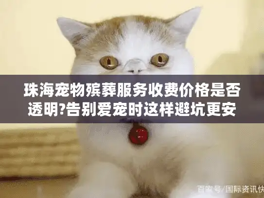 珠海宠物殡葬服务收费价格是否透明?告别爱宠时这样避坑更安心