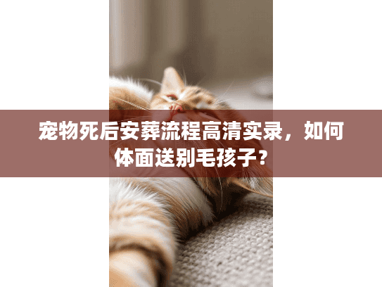 宠物死后安葬流程高清实录,如何体面送别毛孩子? 宠物死后安葬流程高清实录,如何体面送别毛孩子?