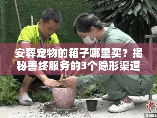 安葬宠物的箱子哪里买？揭秘善终服务的3个隐形渠道