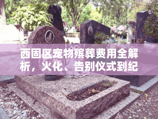 西固区宠物殡葬费用全解析，火化、告别仪式到纪念品价格一览