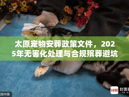太原宠物安葬政策文件，2025年无害化处理与合规殡葬避坑实录