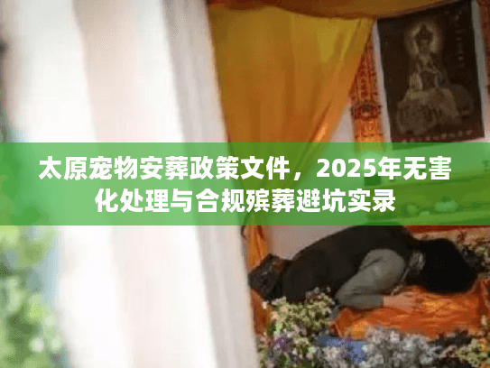 太原宠物安葬政策文件，2025年无害化处理与合规殡葬避坑实录