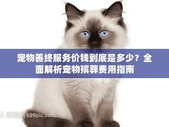 宠物善终服务价钱到底是多少？全面解析宠物殡葬费用指南