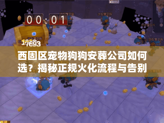 西固区宠物狗狗安葬公司如何选？揭秘正规火化流程与告别仪式