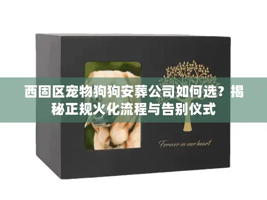 西固区宠物狗狗安葬公司如何选？揭秘正规火化流程与告别仪式