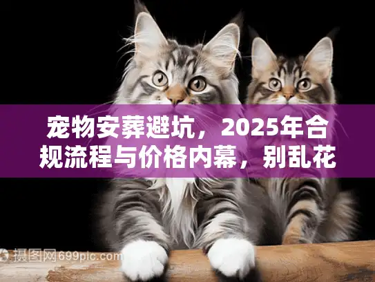 宠物安葬避坑，2025年合规流程与价格内幕，别乱花