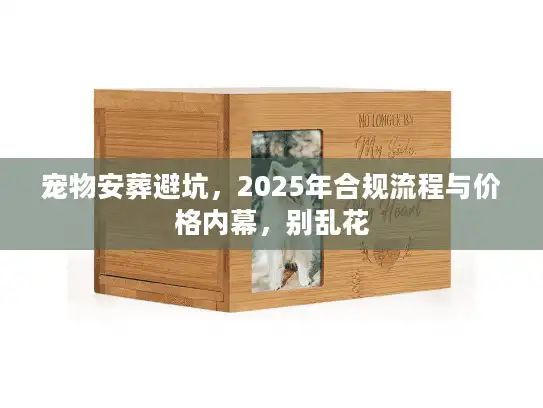 宠物安葬避坑，2025年合规流程与价格内幕，别乱花