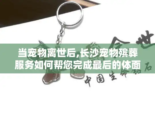 当宠物离世后,长沙宠物殡葬服务如何帮您完成最后的体面告别?