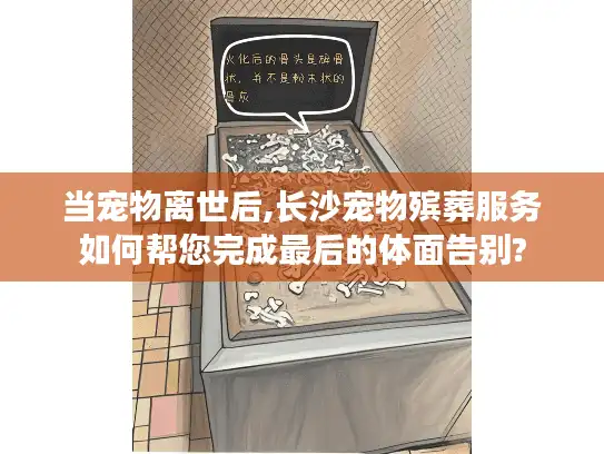 当宠物离世后,长沙宠物殡葬服务如何帮您完成最后的体面告别?