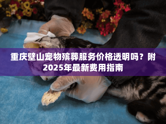 重庆壁山宠物殡葬服务价格透明吗？附2025年最新费用指南