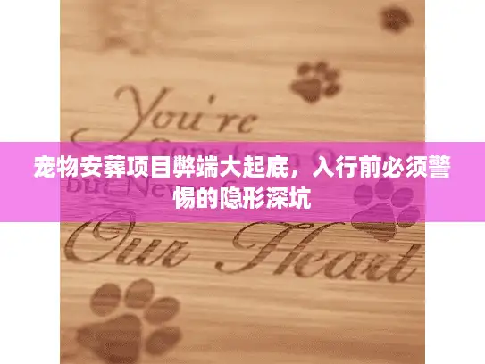 宠物安葬项目弊端大起底，入行前必须警惕的隐形深坑