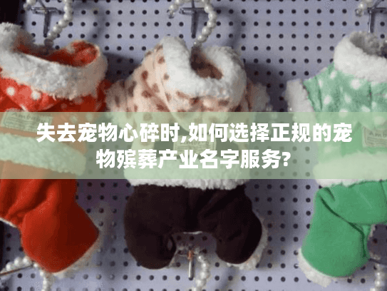 失去宠物心碎时,如何选择正规的宠物殡葬产业名字服务?