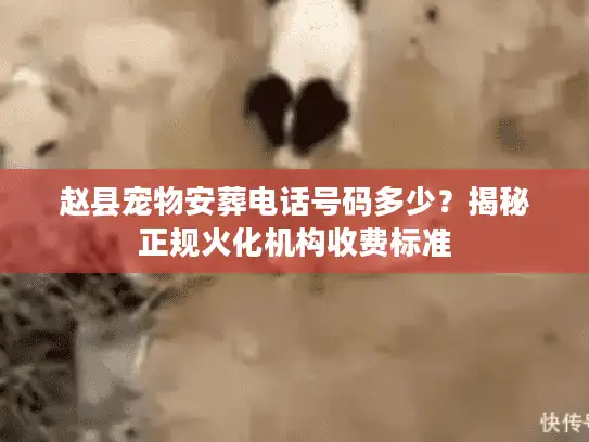 赵县宠物安葬电话号码多少？揭秘正规火化机构收费标准