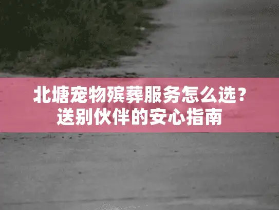 北塘宠物殡葬服务怎么选？送别伙伴的安心指南
