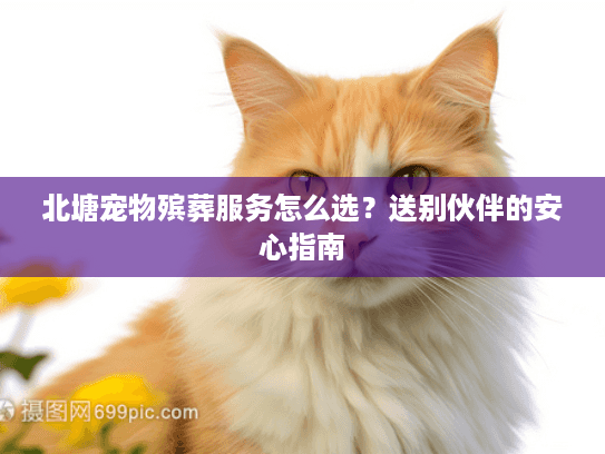 北塘宠物殡葬服务怎么选？送别伙伴的安心指南