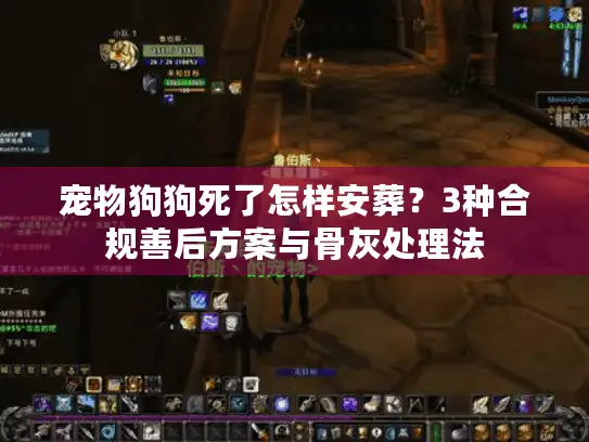 宠物狗狗死了怎样安葬？3种合规善后方案与骨灰处理法