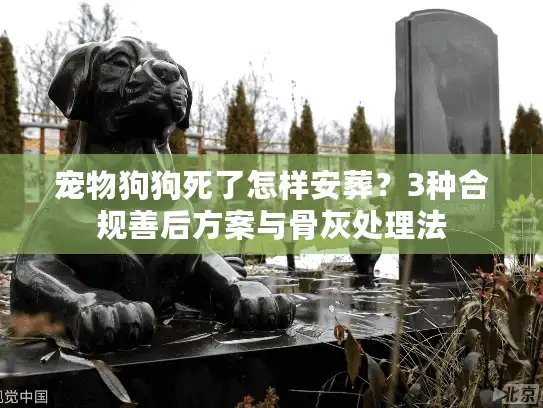 宠物狗狗死了怎样安葬？3种合规善后方案与骨灰处理法