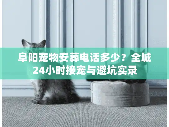 阜阳宠物安葬电话多少？全城24小时接宠与避坑实录