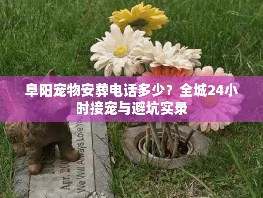 阜阳宠物安葬电话多少？全城24小时接宠与避坑实录