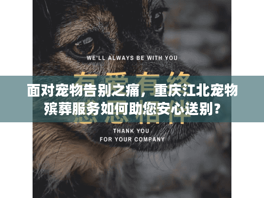 面对宠物告别之痛，重庆江北宠物殡葬服务如何助您安心送别？