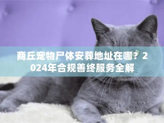 商丘宠物尸体安葬地址在哪？2024年合规善终服务全解