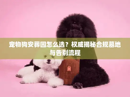 宠物狗安葬园怎么选?权威揭秘合规墓地与告别流程 宠物狗安葬园怎么选?权威揭秘合规墓地与告别流程