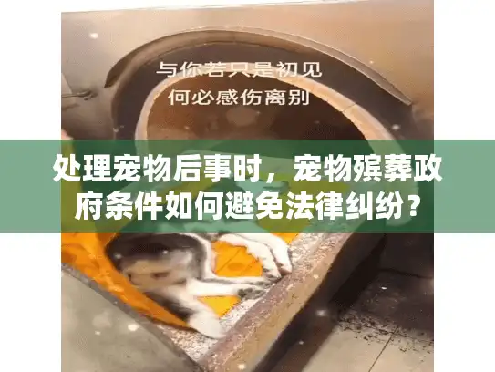 处理宠物后事时，宠物殡葬政府条件如何避免法律纠纷？