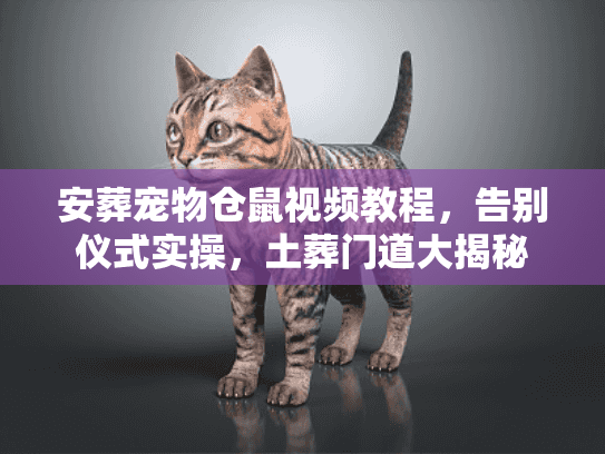 安葬宠物仓鼠视频教程,告别仪式实操,土葬门道大揭秘 安葬宠物仓鼠视频教程,告别仪式实操,土葬门道大揭秘