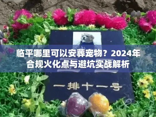 临平哪里可以安葬宠物？2024年合规火化点与避坑实战解析