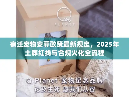 宿迁宠物安葬政策最新规定，2025年土葬红线与合规火化全流程