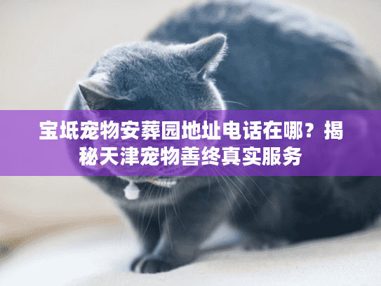 宝坻宠物安葬园地址电话在哪？揭秘天津宠物善终真实服务