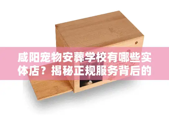 咸阳宠物安葬学校有哪些实体店?揭秘正规服务背后的培训内幕 咸阳宠物安葬学校有哪些实体店?揭秘正规服务背后的培训内幕