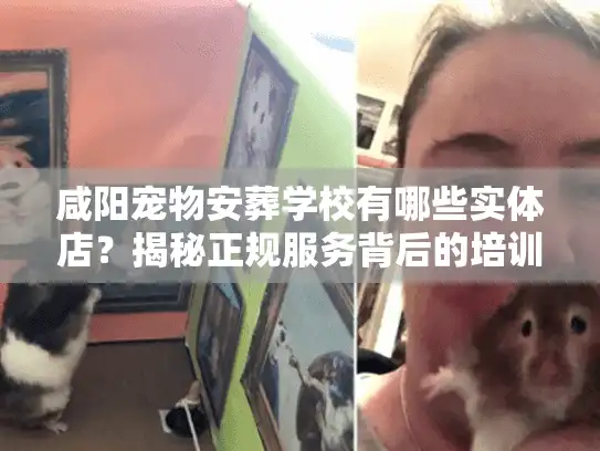 咸阳宠物安葬学校有哪些实体店?揭秘正规服务背后的培训内幕 咸阳宠物安葬学校有哪些实体店?揭秘正规服务背后的培训内幕