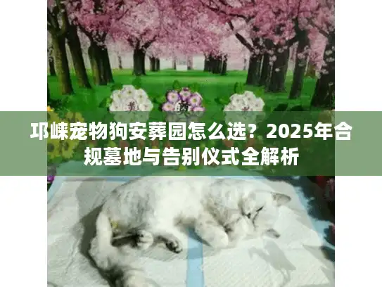 邛崃宠物狗安葬园怎么选？2025年合规墓地与告别仪式全解析