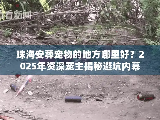 珠海安葬宠物的地方哪里好？2025年资深宠主揭秘避坑内幕