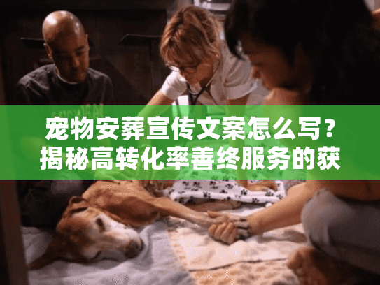 宠物安葬宣传文案怎么写？揭秘高转化率善终服务的获客逻辑
