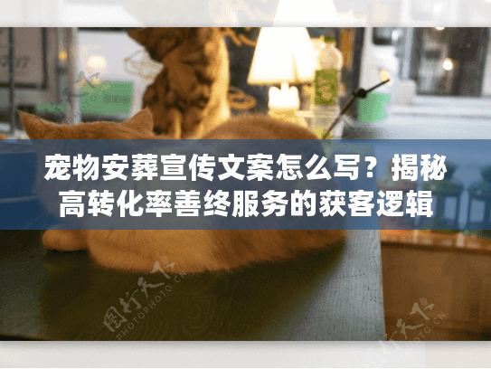 宠物安葬宣传文案怎么写？揭秘高转化率善终服务的获客逻辑