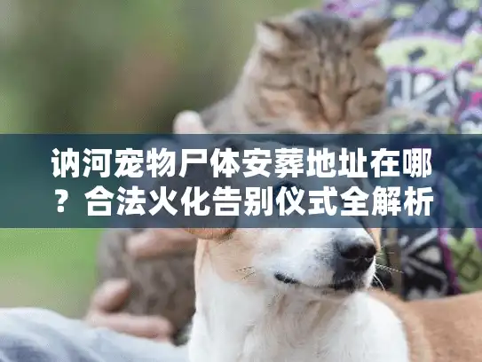 讷河宠物尸体安葬地址在哪?合法火化告别仪式全解析 讷河宠物尸体安葬地址在哪?合法火化告别仪式全解析