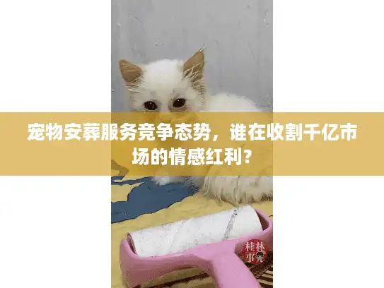 宠物安葬服务竞争态势,谁在收割千亿市场的情感红利? 宠物安葬服务竞争态势,谁在收割千亿市场的情感红利?