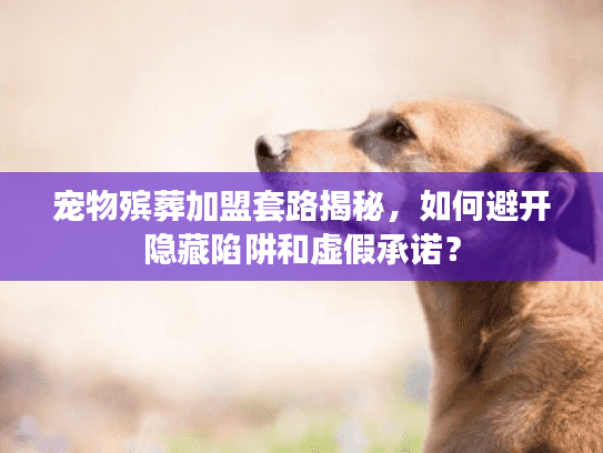 宠物殡葬加盟套路揭秘，如何避开隐藏陷阱和虚假承诺？