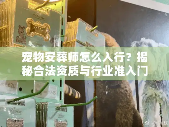 宠物安葬师怎么入行？揭秘合法资质与行业准入门槛