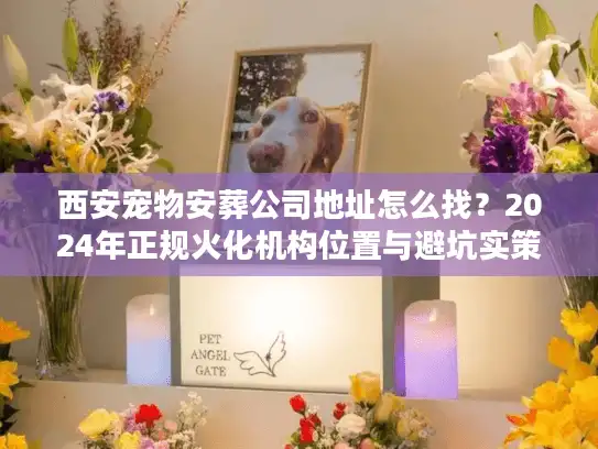 西安宠物安葬公司地址怎么找？2024年正规火化机构位置与避坑实策