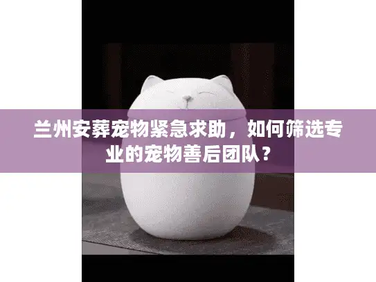 兰州安葬宠物紧急求助，如何筛选专业的宠物善后团队？