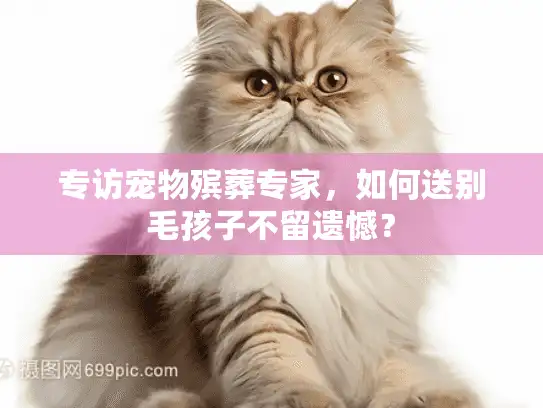 专访宠物殡葬专家，如何送别毛孩子不留遗憾？