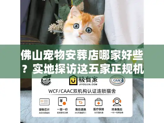 佛山宠物安葬店哪家好些？实地探访这五家正规机构才敢推荐