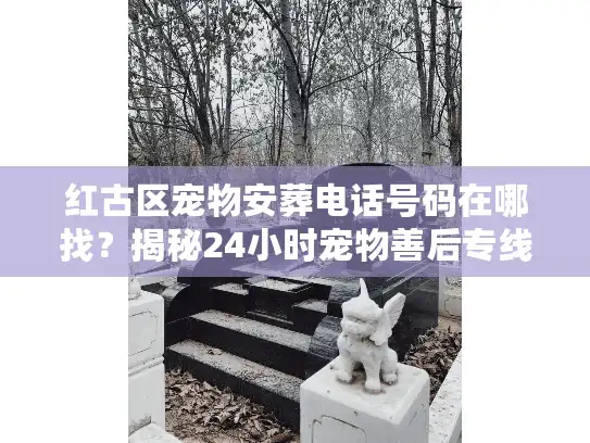 红古区宠物安葬电话号码在哪找？揭秘24小时宠物善后专线