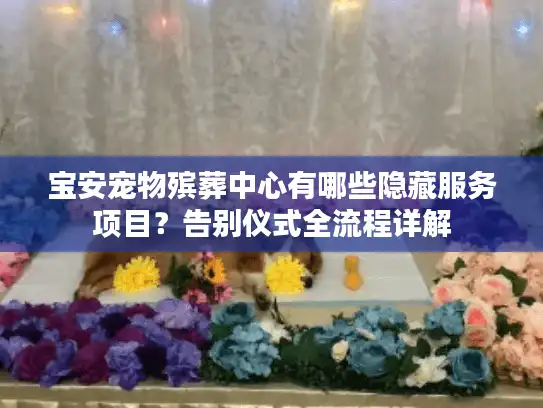 宝安宠物殡葬中心有哪些隐藏服务项目？告别仪式全流程详解