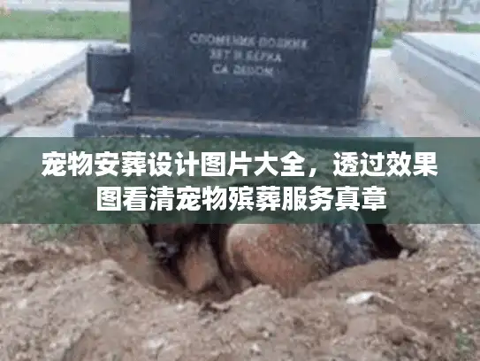宠物安葬设计图片大全,透过效果图看清宠物殡葬服务真章 宠物安葬设计图片大全,透过效果图看清宠物殡葬服务真章